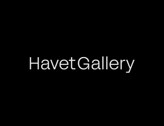 Artistas en HavetGallery